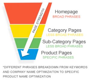 Magento SEO (Search Engine Optimization) - Triangle Direct Media