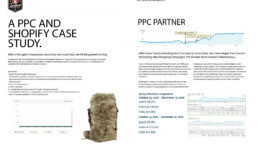 paid search case study