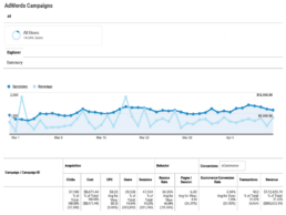 PPC campaign results