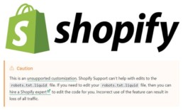 shopify experts seo