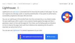 lighthouse dev tool