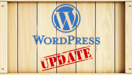 wordpress update