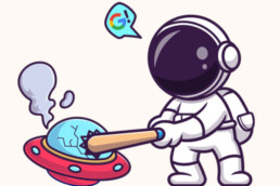 google june update