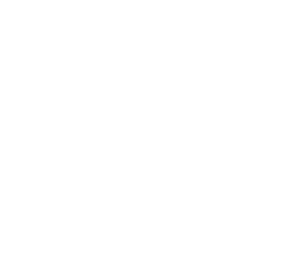 website architecture